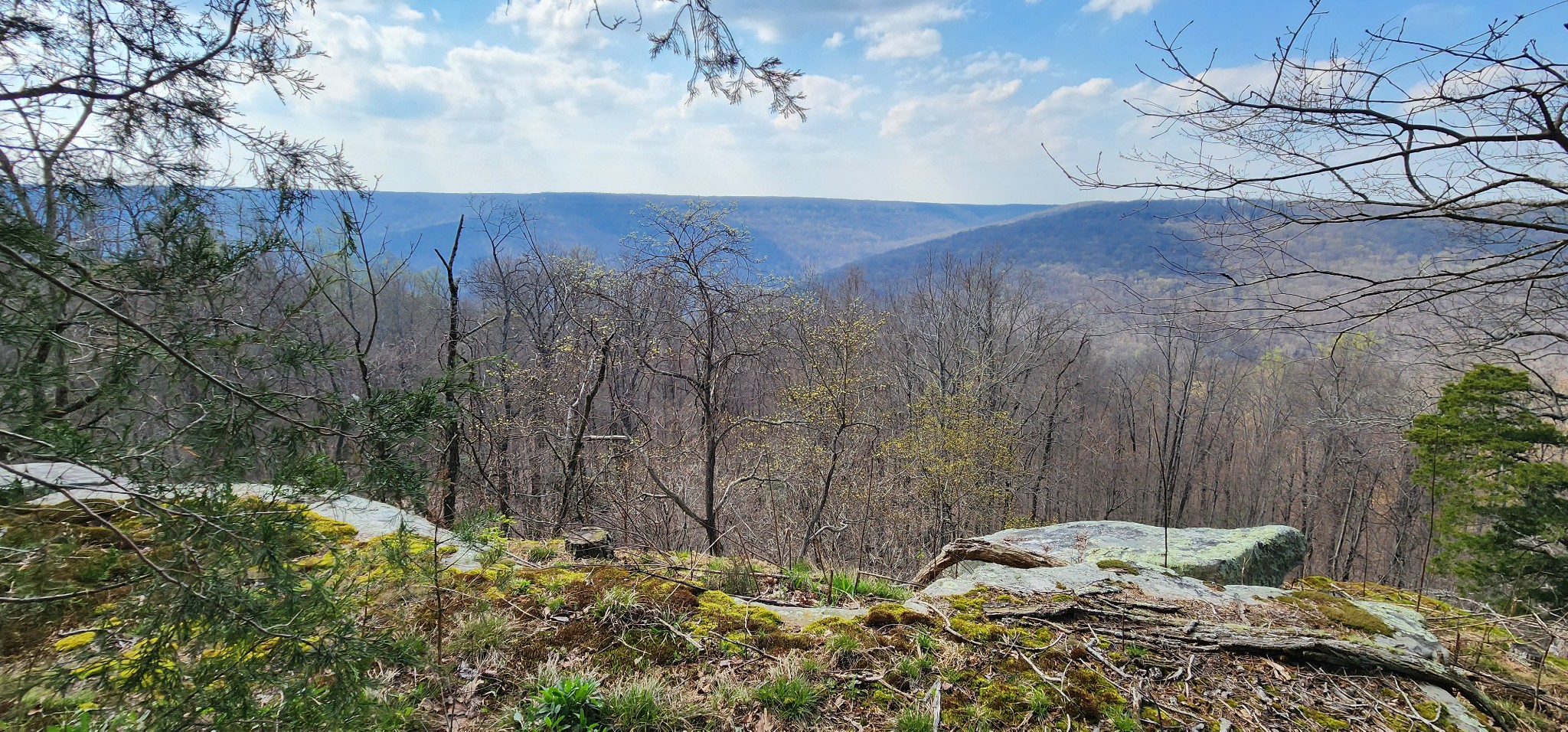 0 Roth Point Road Altamont, TN 37301 - Photo 11 of 41