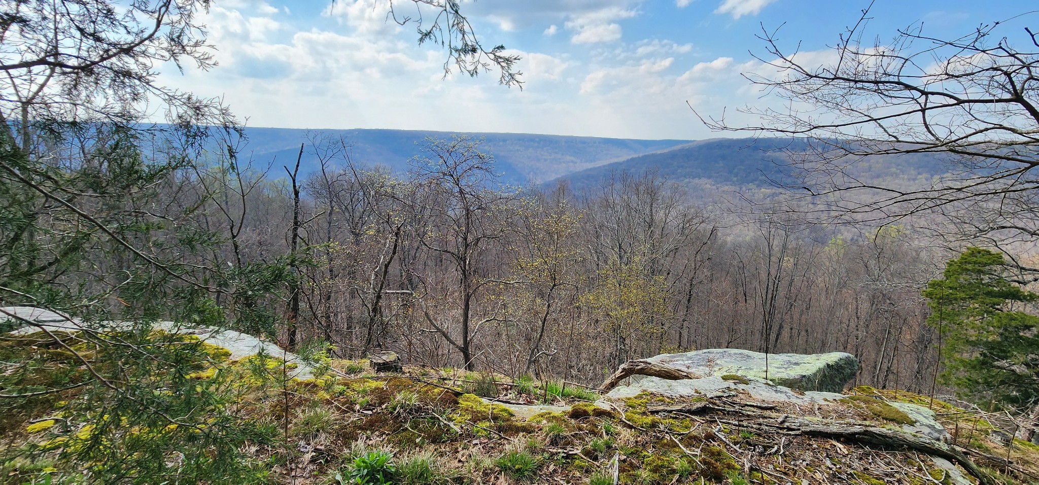 0 Roth Point Road Altamont, TN 37301 - Photo 12 of 41