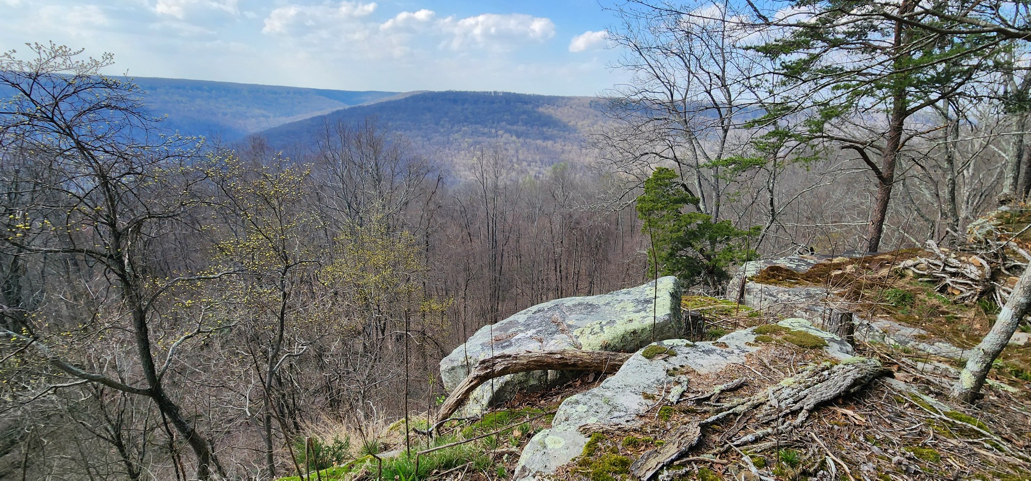 0 Roth Point Road Altamont, TN 37301 - Photo 13 of 41