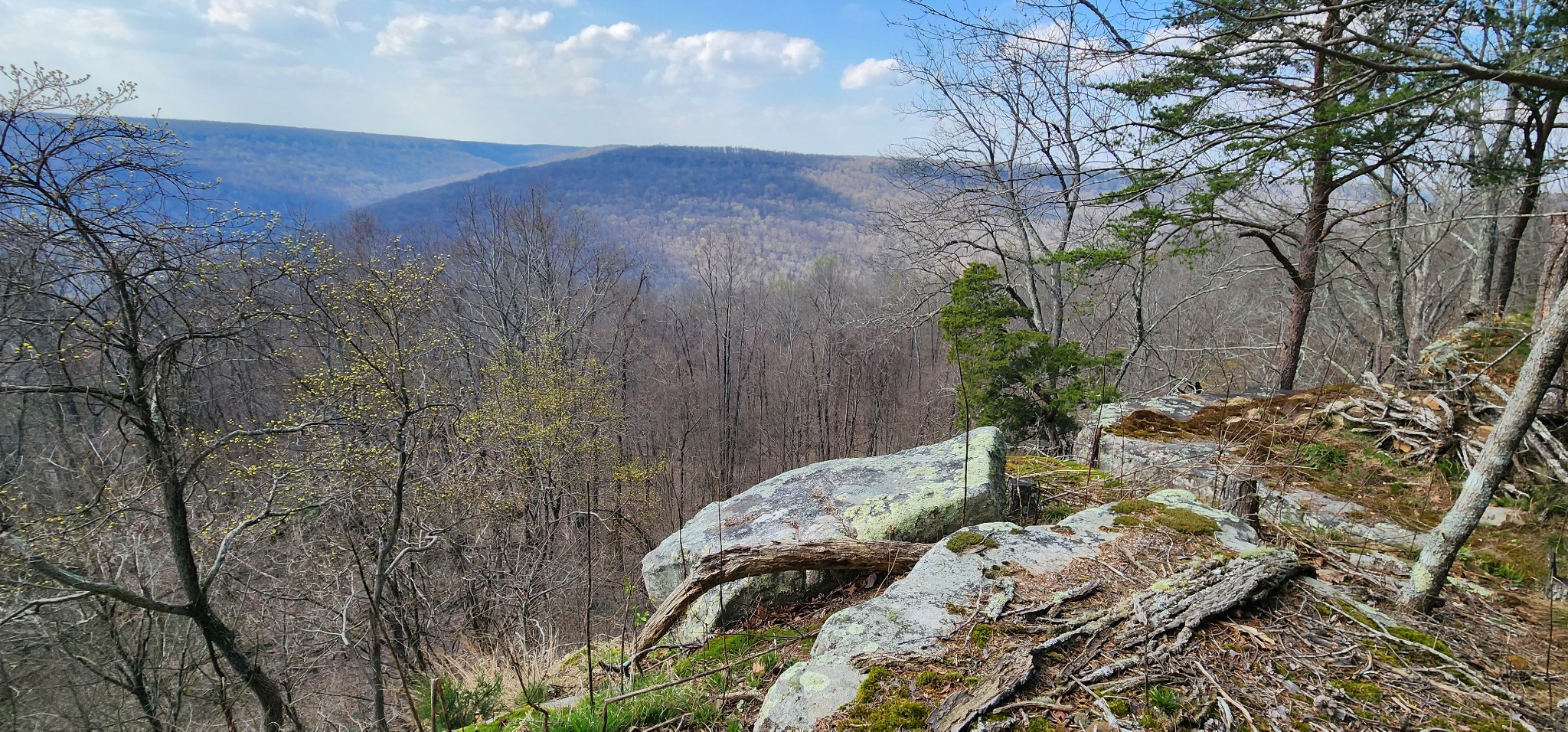 0 Roth Point Road Altamont, TN 37301 - Photo 14 of 41