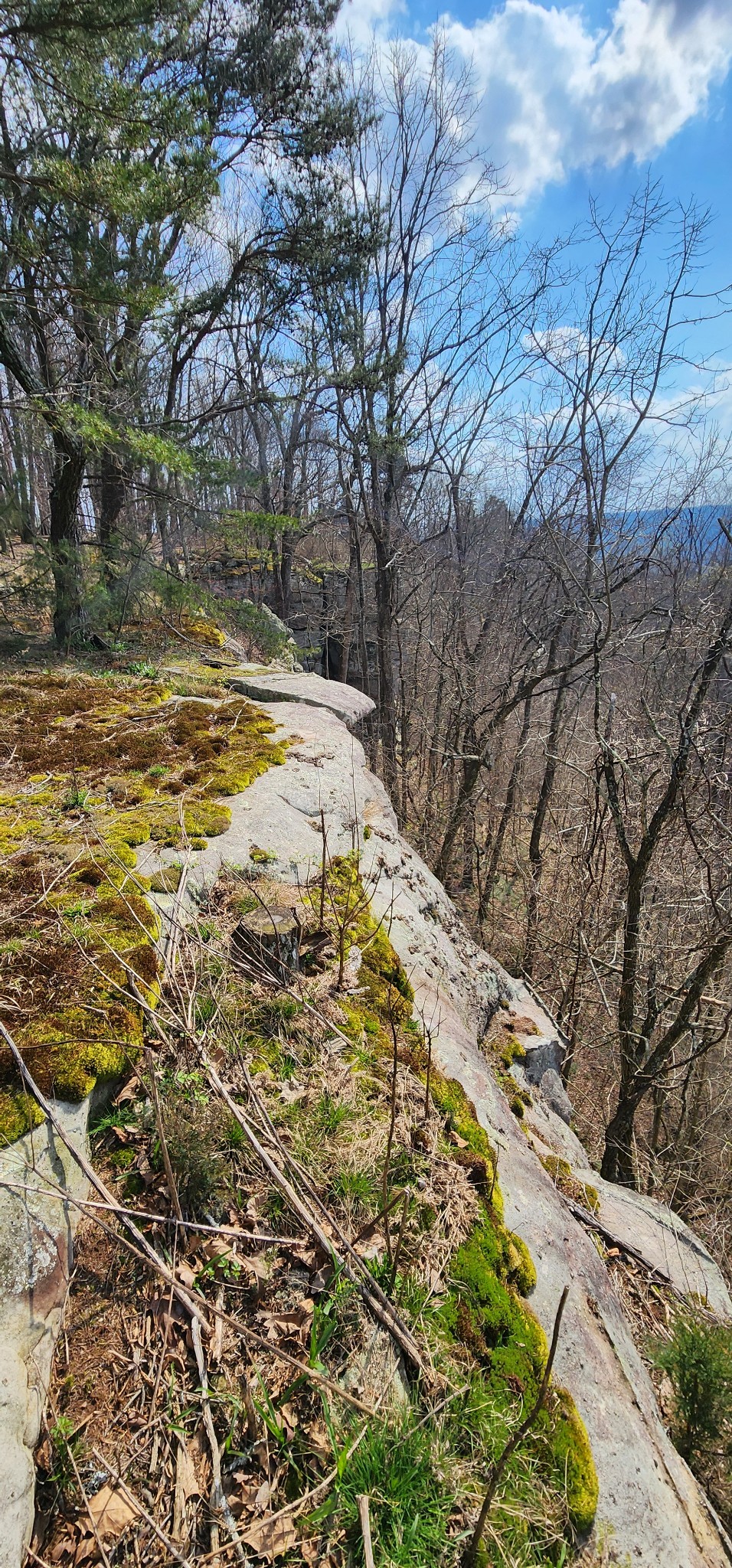 0 Roth Point Road Altamont, TN 37301 - Photo 18 of 41