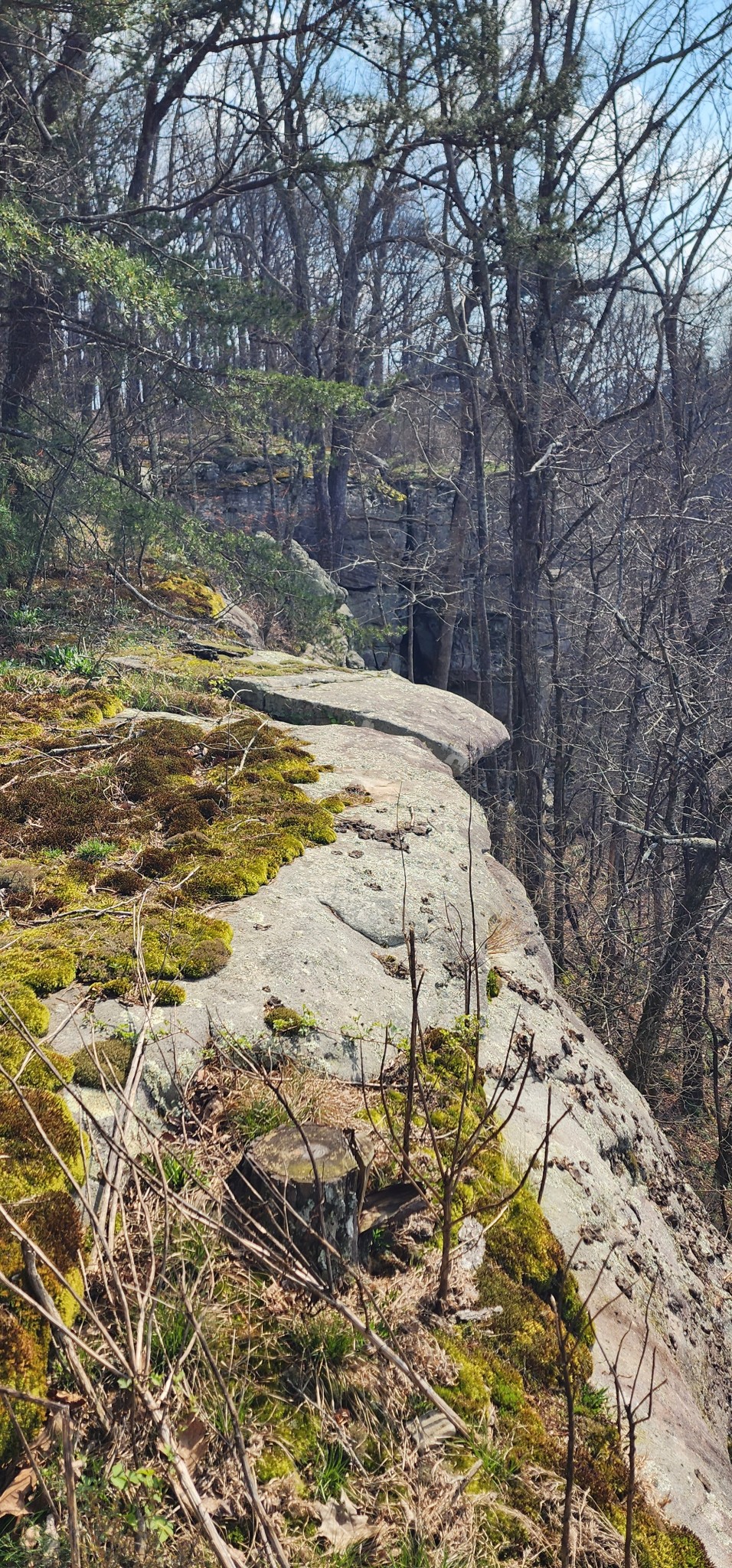 0 Roth Point Road Altamont, TN 37301 - Photo 20 of 41