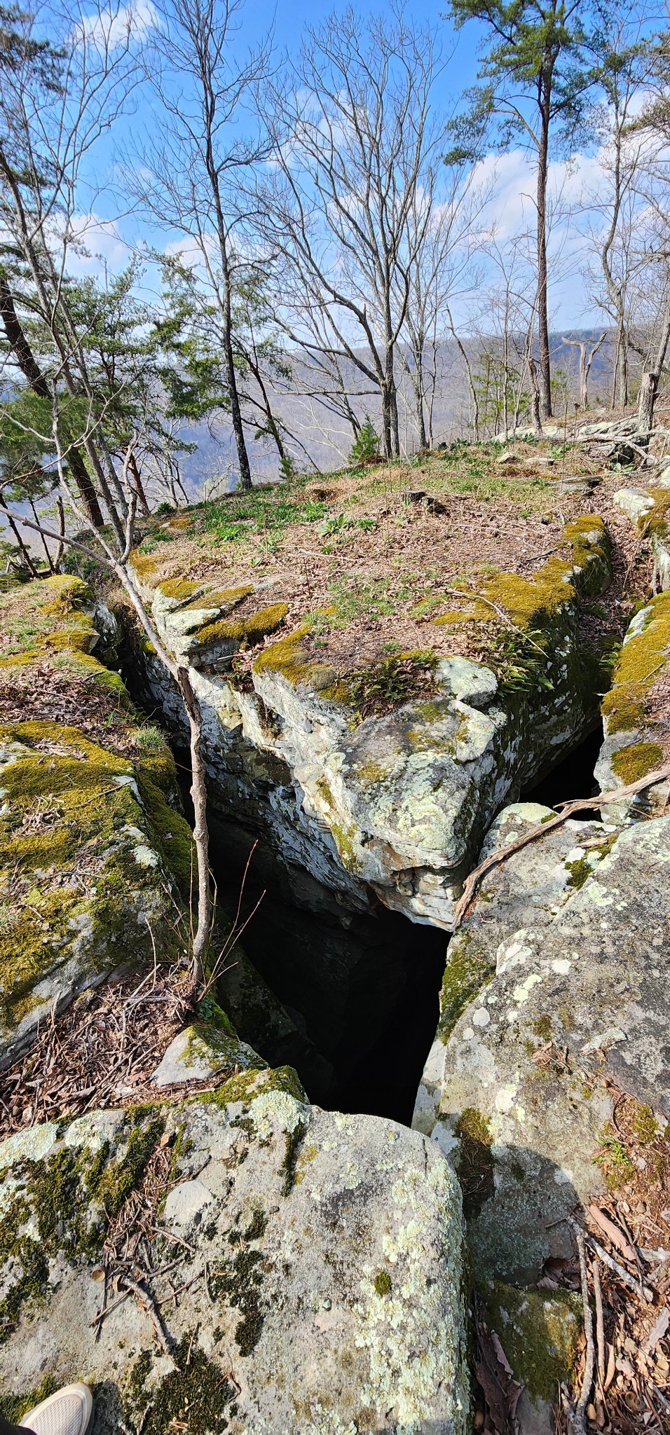 0 Roth Point Road Altamont, TN 37301 - Photo 2 of 41