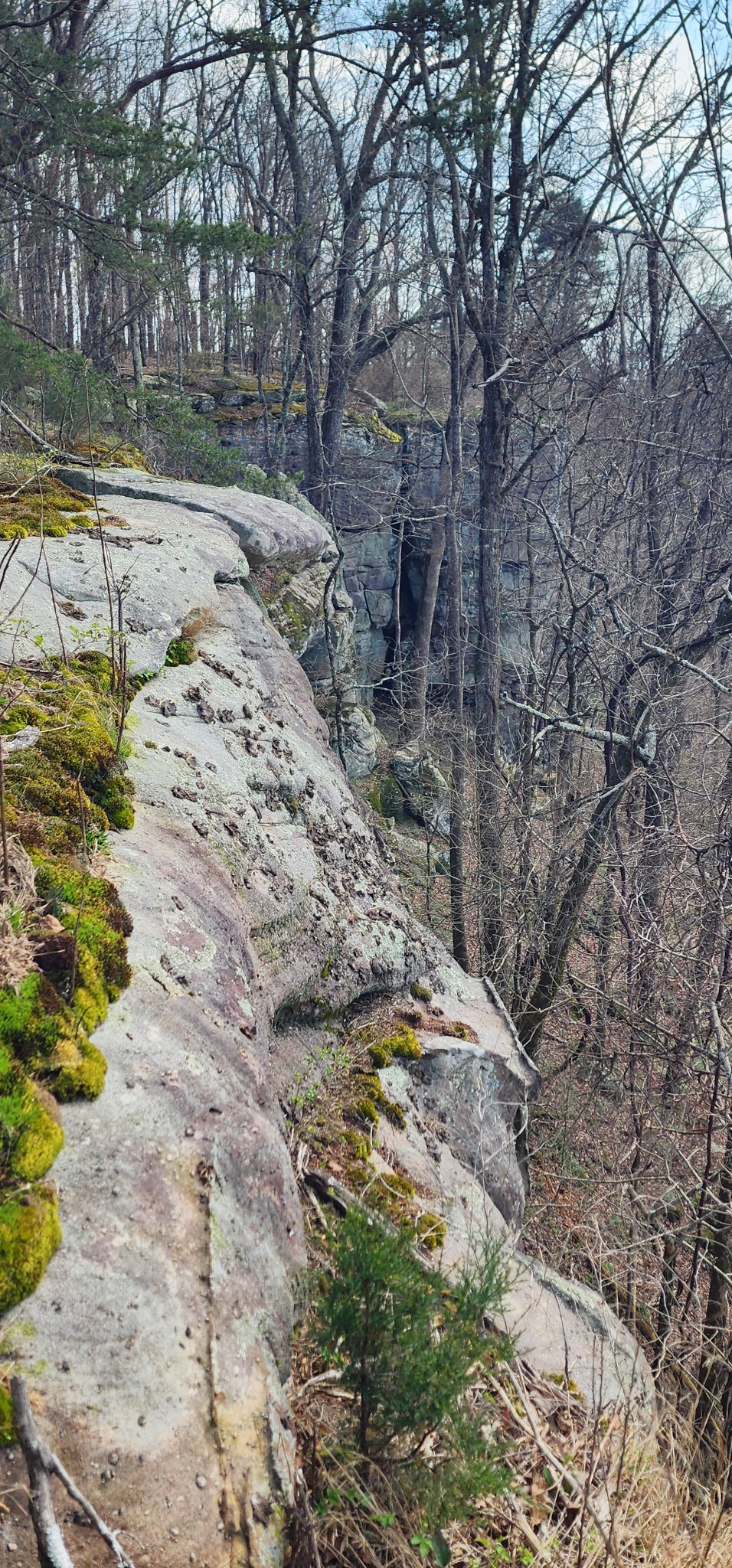 0 Roth Point Road Altamont, TN 37301 - Photo 21 of 41