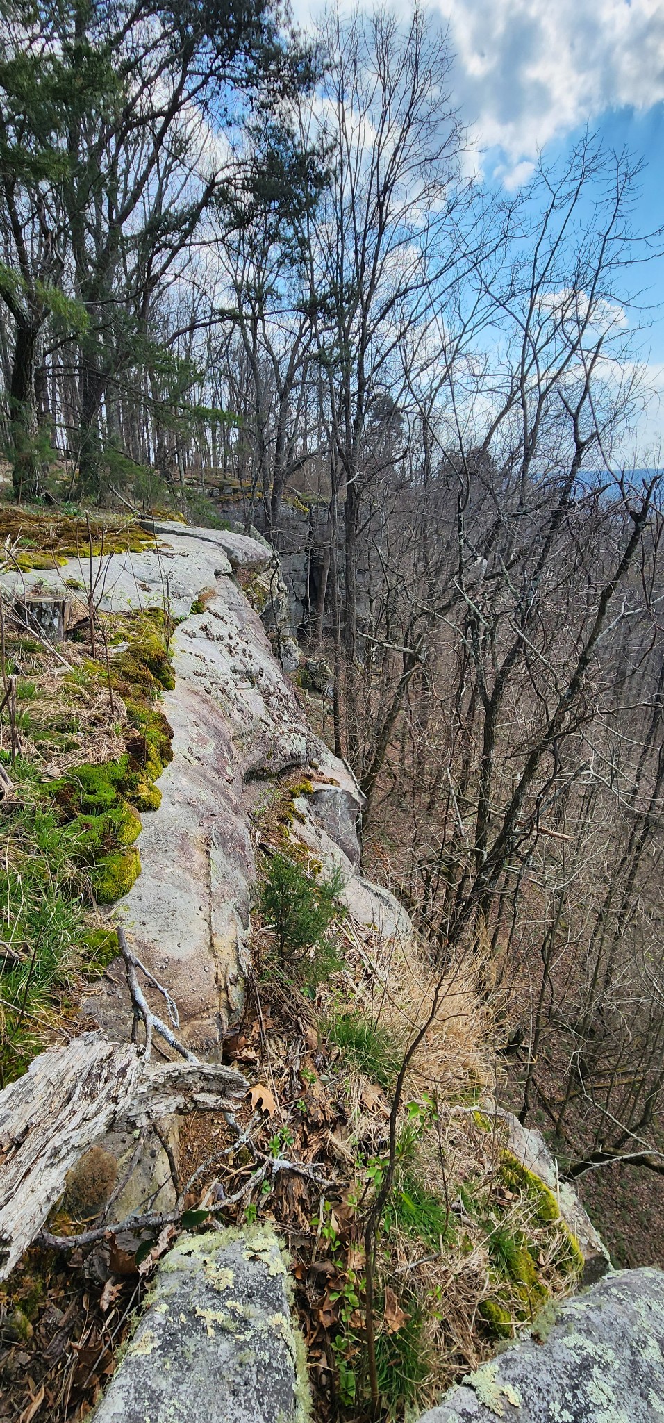 0 Roth Point Road Altamont, TN 37301 - Photo 22 of 41