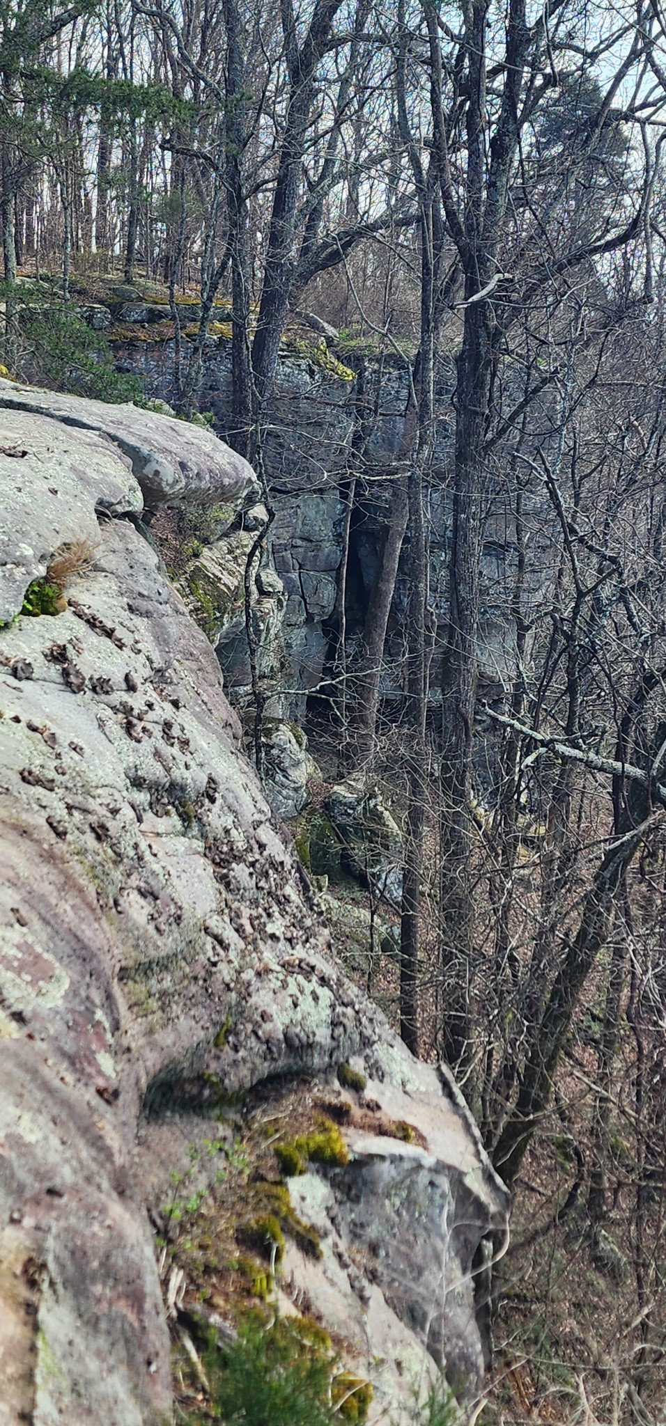 0 Roth Point Road Altamont, TN 37301 - Photo 23 of 41