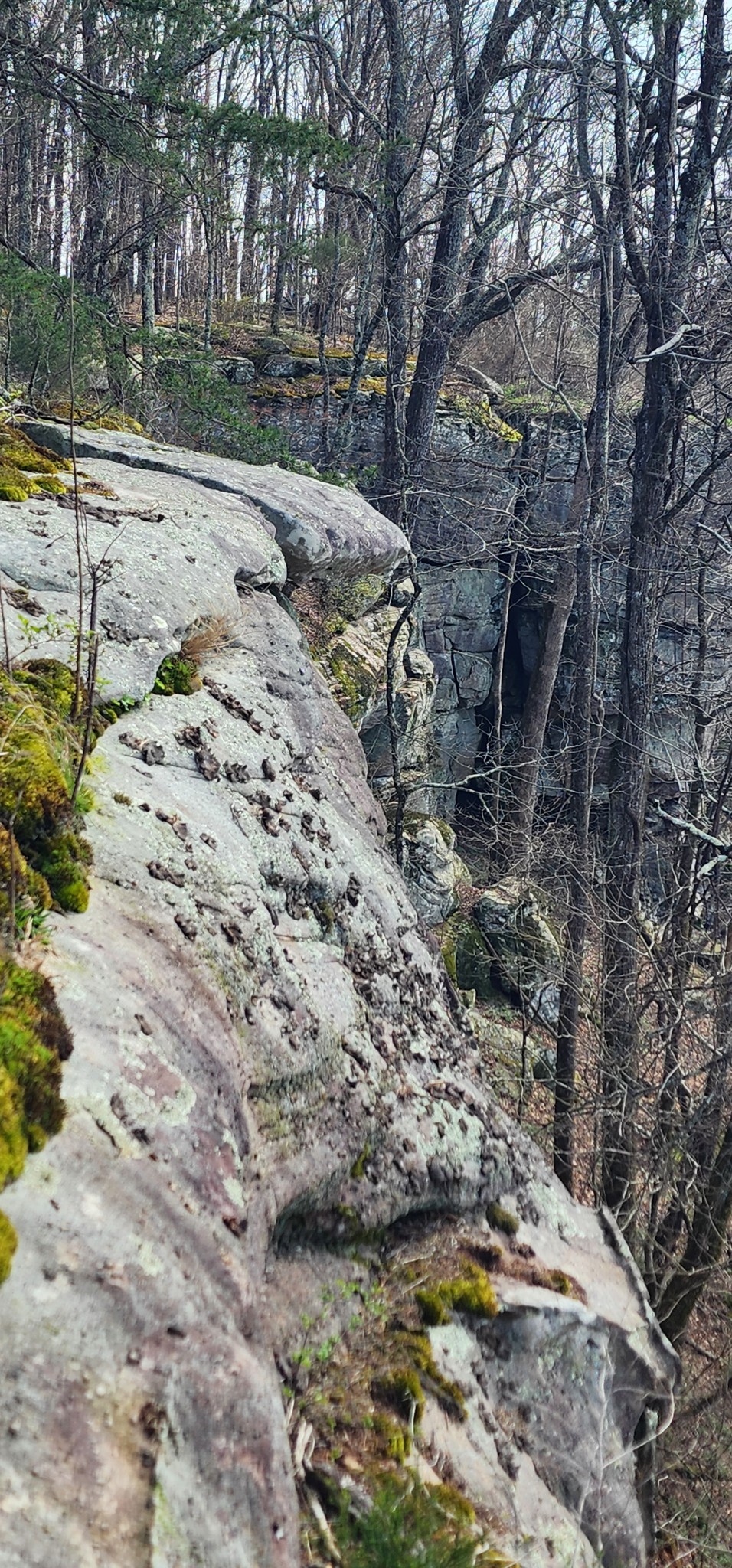 0 Roth Point Road Altamont, TN 37301 - Photo 24 of 41