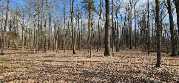 a wooden fence with trees in the background