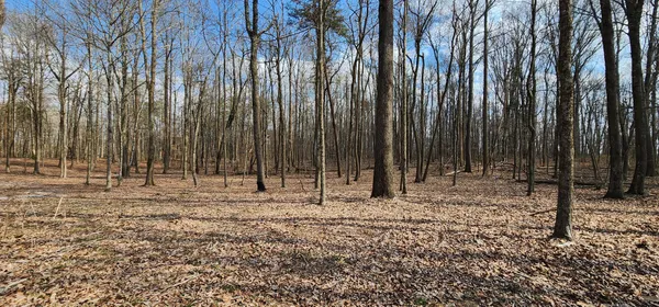 a view of outdoor space with lots of trees