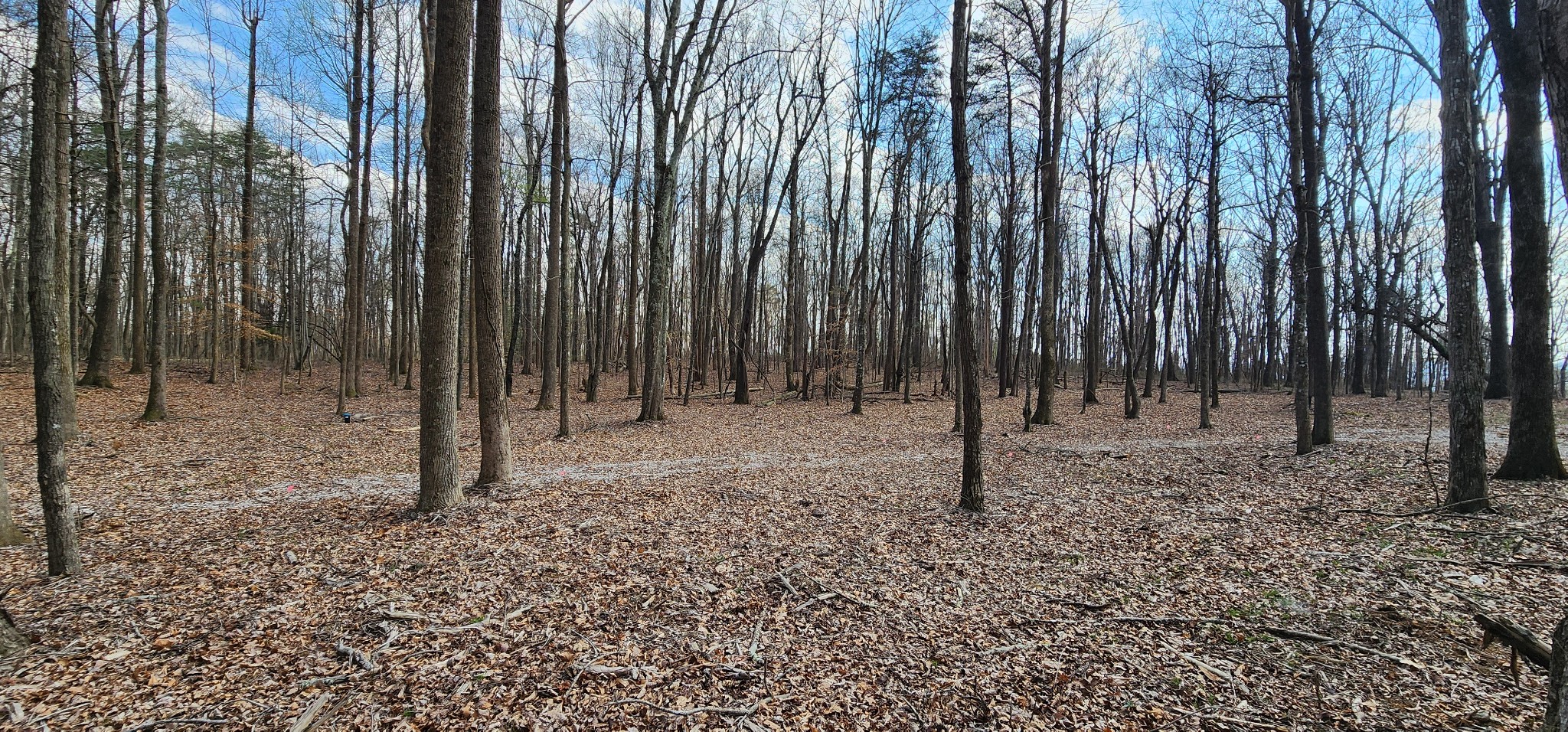 0 Roth Point Road Altamont, TN 37301 - Photo 28 of 41
