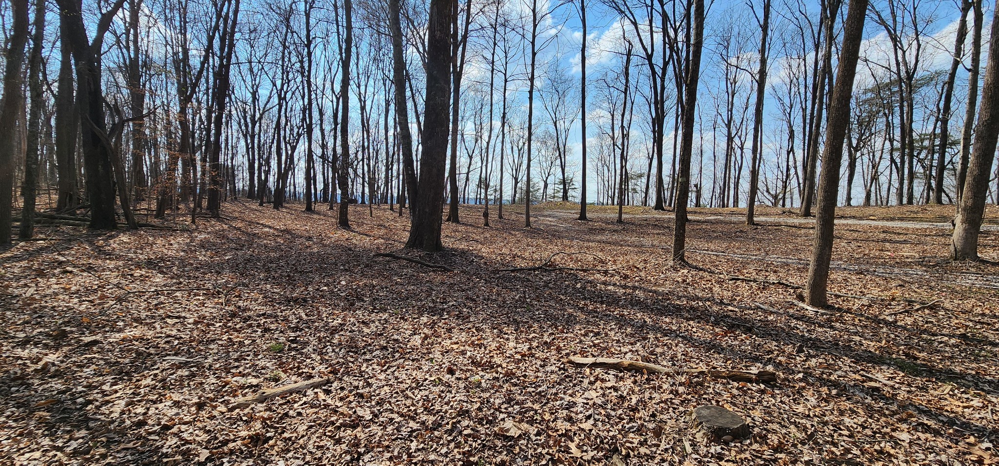 0 Roth Point Road Altamont, TN 37301 - Photo 33 of 41