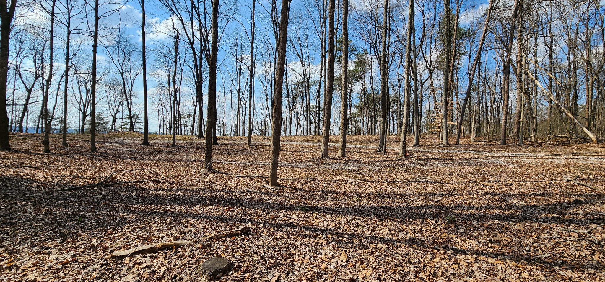 0 Roth Point Road Altamont, TN 37301 - Photo 34 of 41