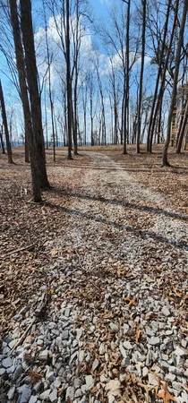 a view of a wooden bench sitting in backyard