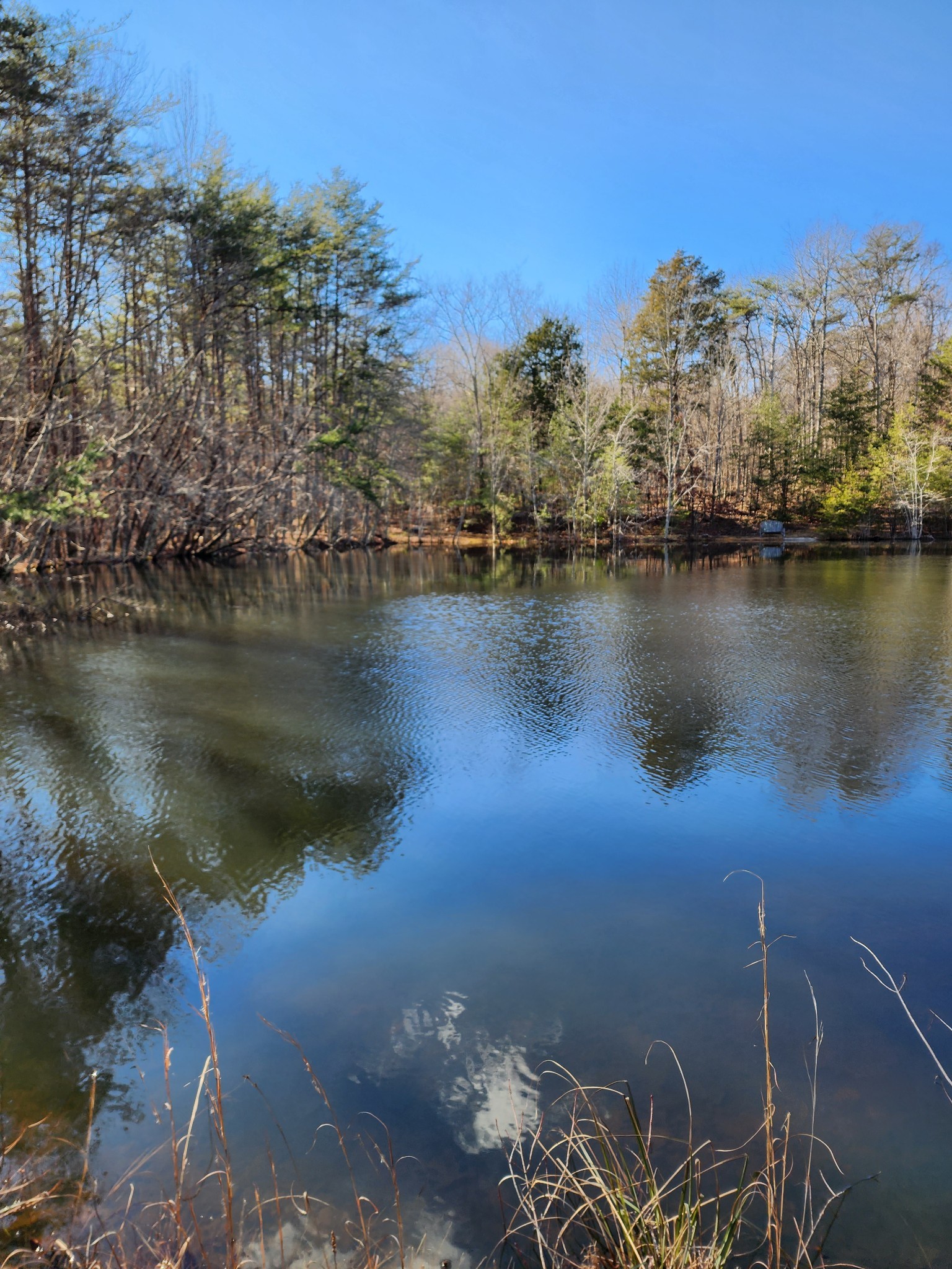 0 Roth Point Road Altamont, TN 37301 - Photo 37 of 41