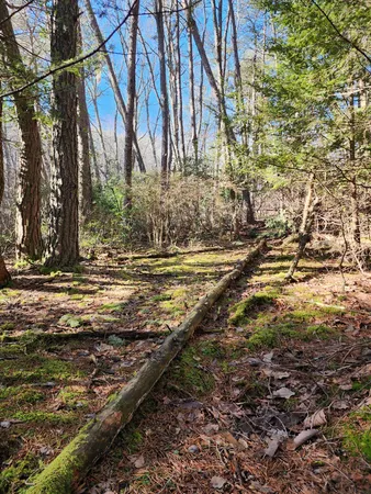$125,000 | 0 Roth Point Road, Altamont, TN 37301