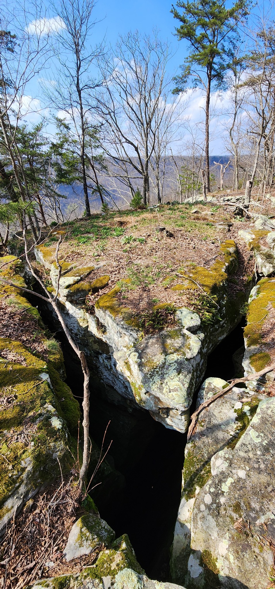 0 Roth Point Road Altamont, TN 37301 - Photo 5 of 41