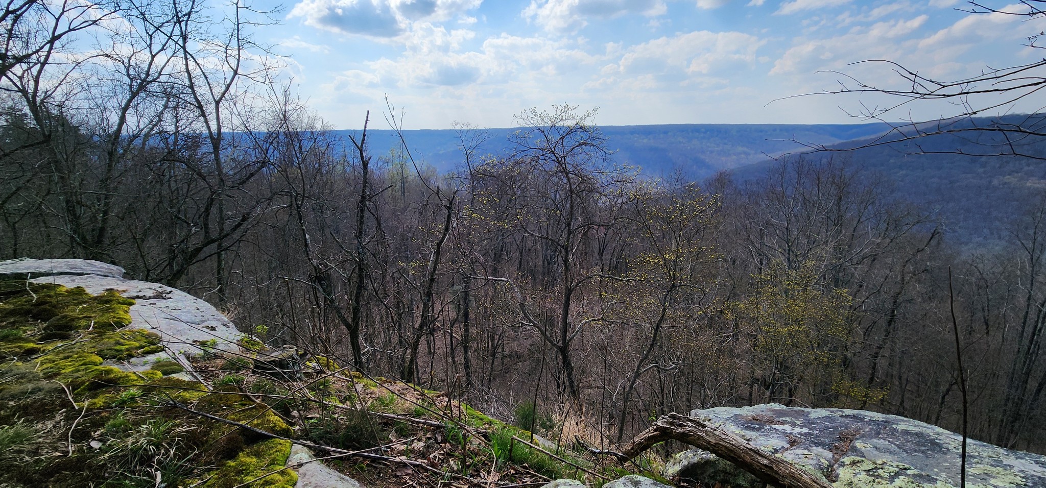 0 Roth Point Road Altamont, TN 37301 - Photo 9 of 41