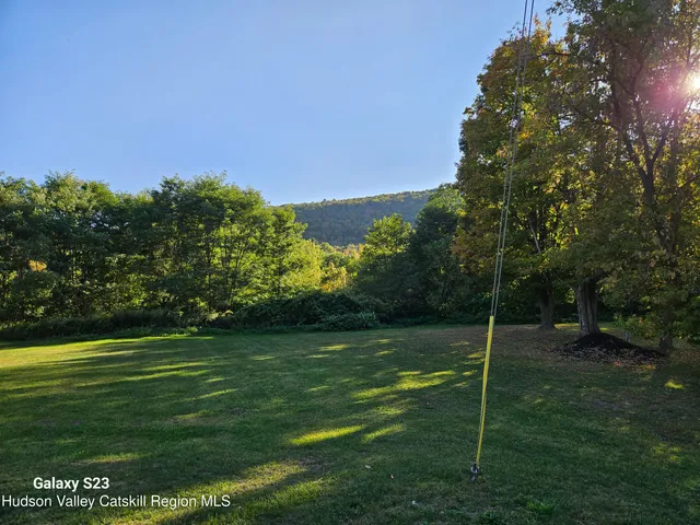 a picture of a tree in the background