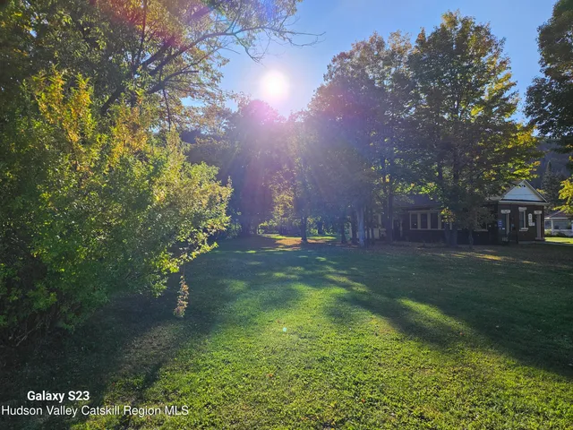 a view of green field with trees in the background