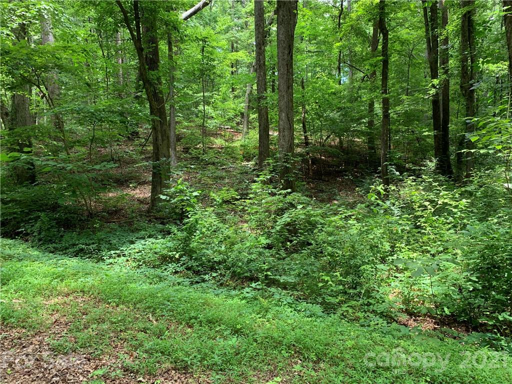3 Country Club Heights Road Tryon, NC 28782 - Photo 7 of 13 a view of outdoor space and green space