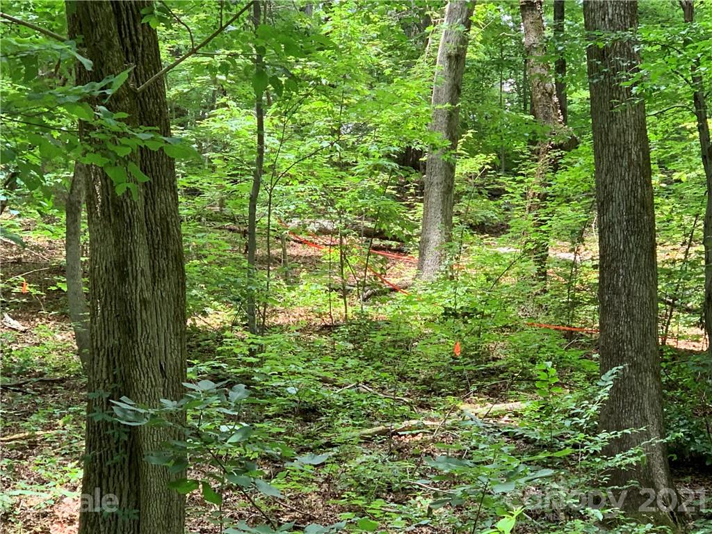 3 Country Club Heights Road Tryon, NC 28782 - Photo 8 of 13 a backyard of a house with lots of green space and fountain