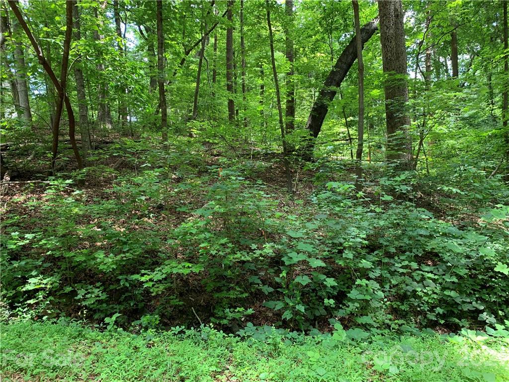 3 Country Club Heights Road Tryon, NC 28782 - Photo 9 of 13 a view of outdoor space and green space
