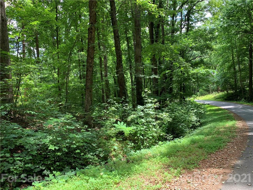 3 Country Club Heights Road Tryon, NC 28782 - Photo 10 of 13 a view of outdoor space and green space