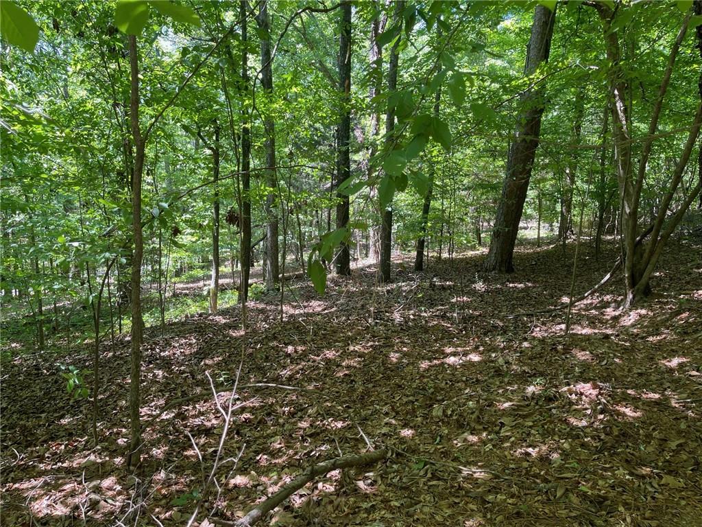 1 A Chalcrest Way Cave Spring, GA 30124 - Photo 16 of 54 Gallery Image 16