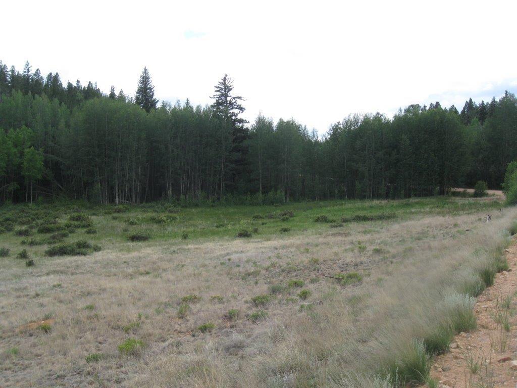6241 Remington Road Como, CO 80432 - Photo 11 of 15 a view of outdoor space with trees all around