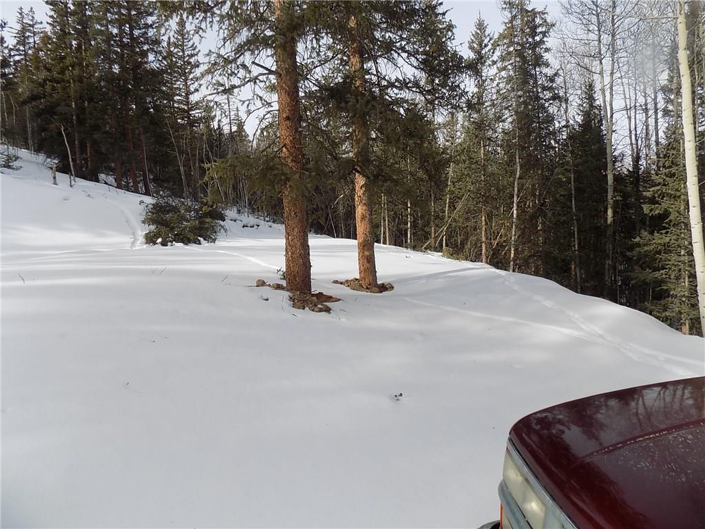 6241 Remington Road Como, CO 80432 - Photo 4 of 15 a view of a tree with a house in the background