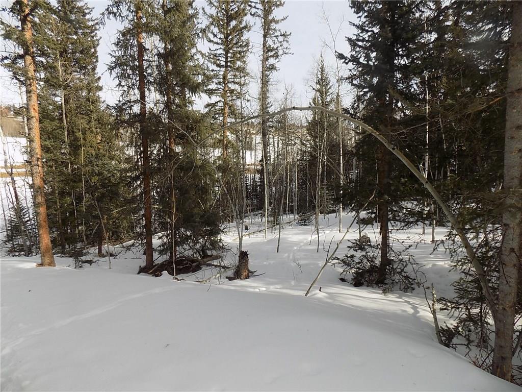 6241 Remington Road Como, CO 80432 - Photo 5 of 15 a view of a street with trees on both side of it