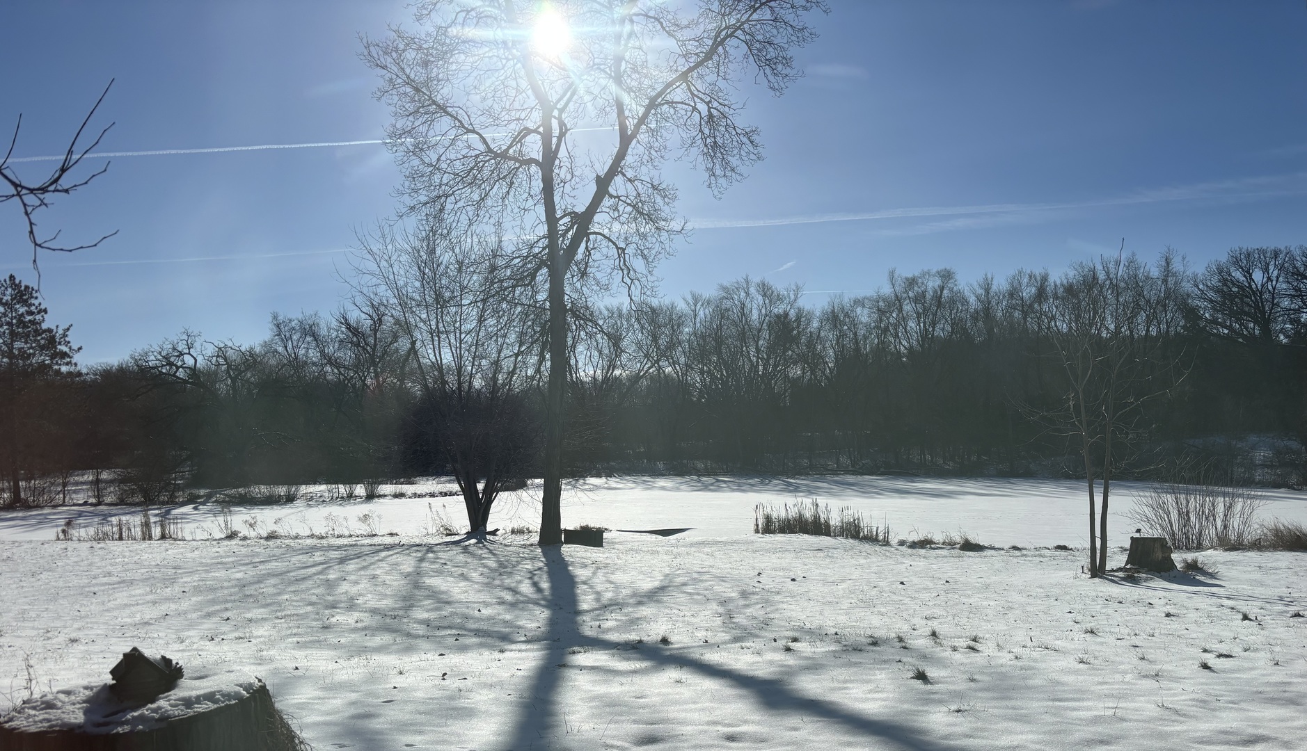 15810 Highway 173, Unit 1F Harvard, IL 60033 - Photo 30 of 33