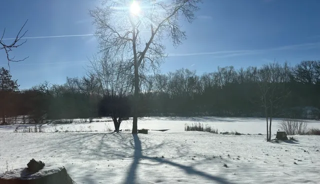 a view of a yard with snow on the road