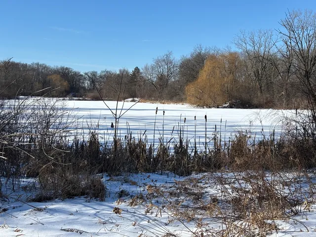 $165,000 | 15810 Highway 173, Unit 1F, Harvard, IL 60033