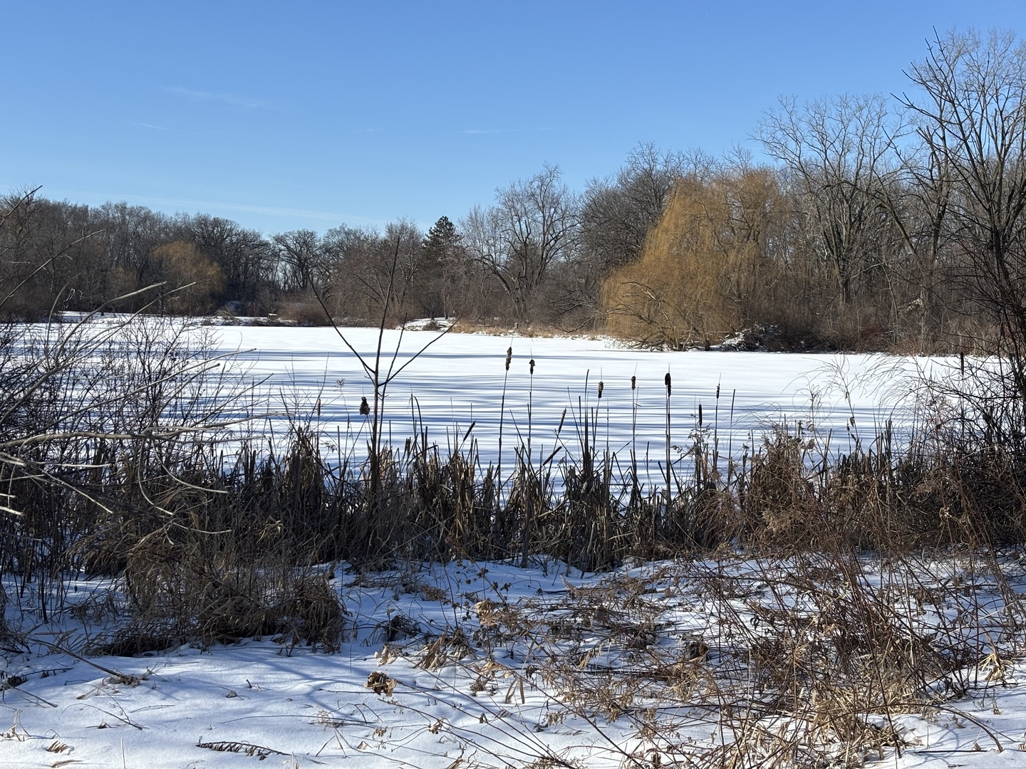 15810 Highway 173, Unit 1F Harvard, IL 60033 - Photo 5 of 33