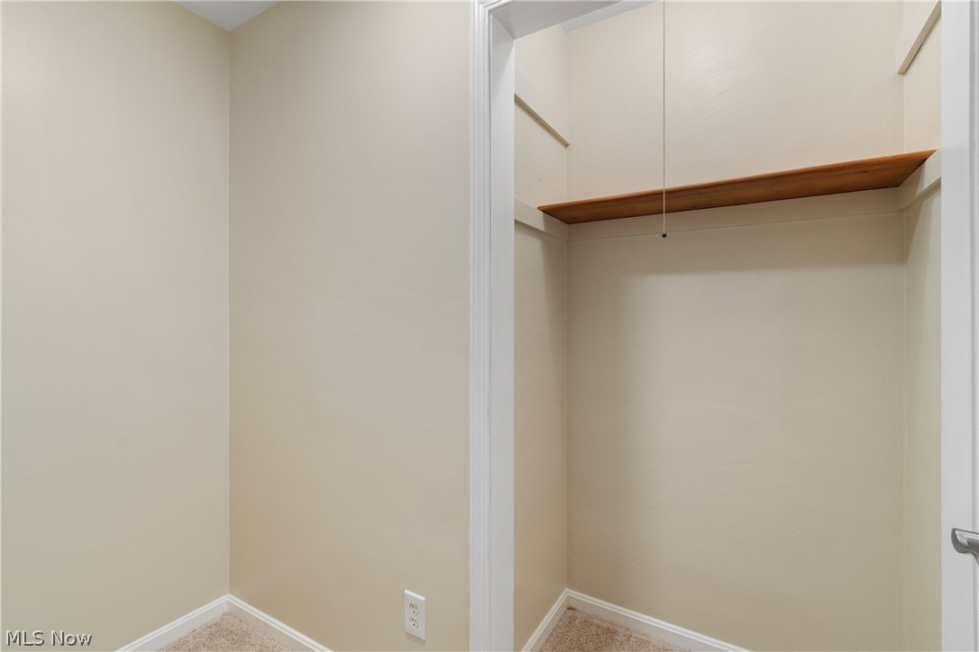 1075 Northeast River Road Lake Milton, OH 44429 - Photo 16 of 34 Recessed closet space with a single wood shelf and neutral carpeting