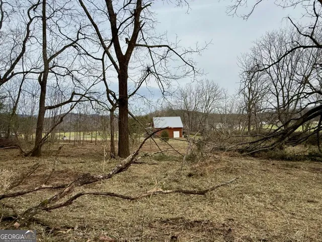 a view of a yard with a tree