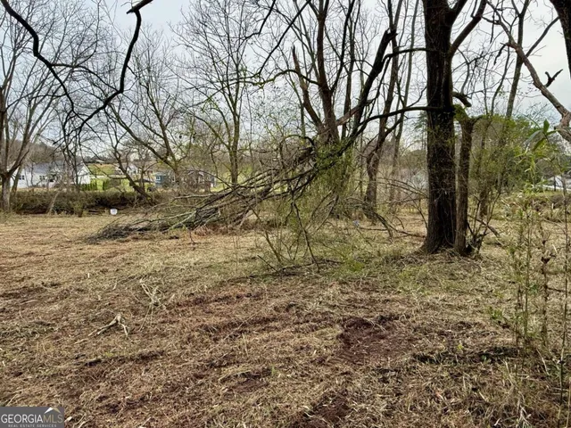 a view of a yard with trees