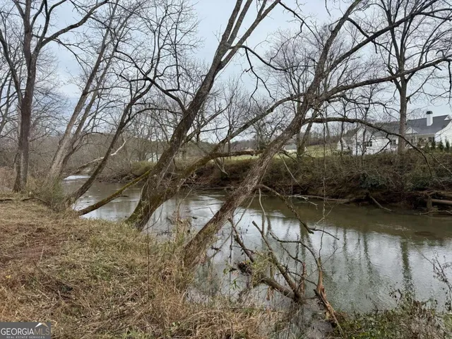 a view of a yard with a tree