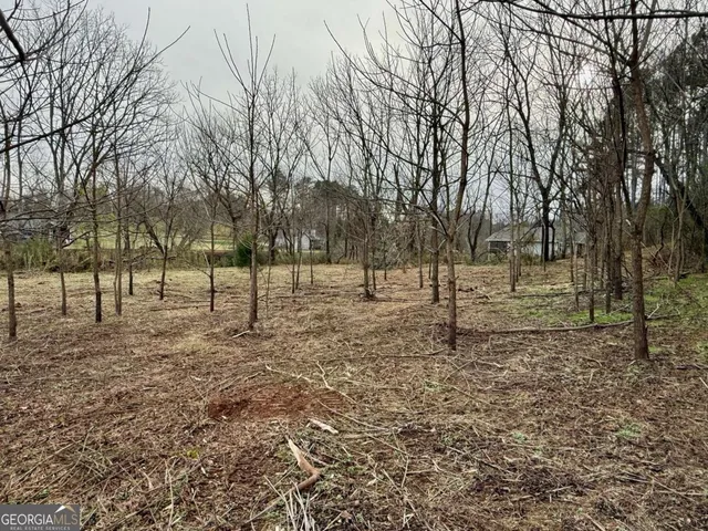 a view of road with trees