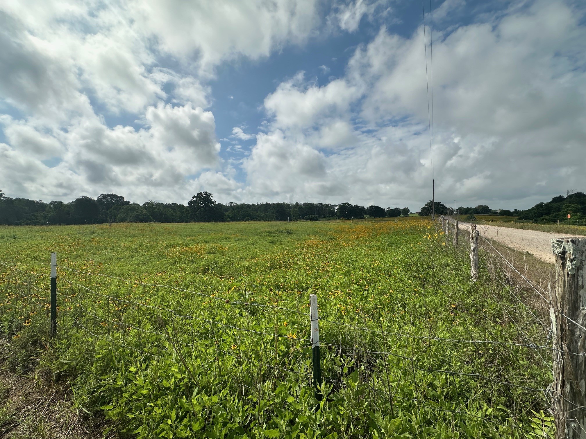 6220 Mill Creek Road Sealy, TX 77474 - Photo 3 of 27