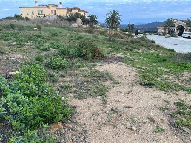 a view of a dirt road with lots of trees