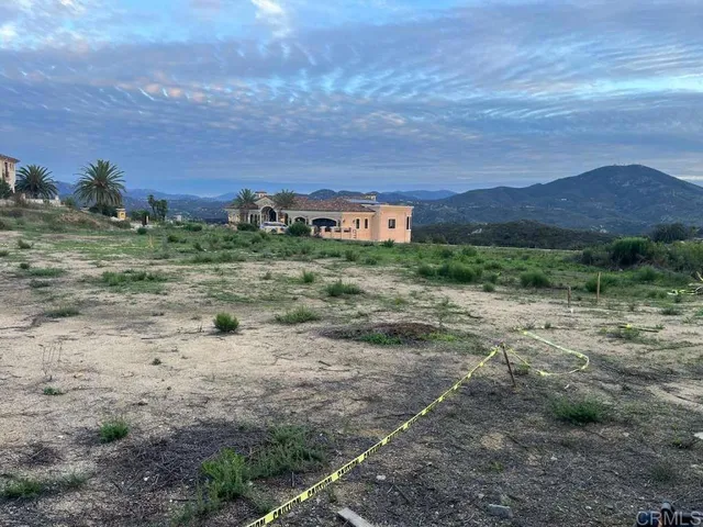 a view of a dry yard with trees