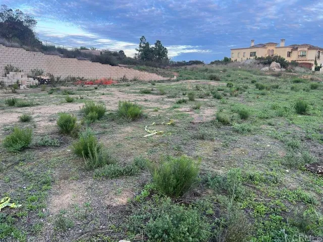 a view of a lush green forest with lots of trees