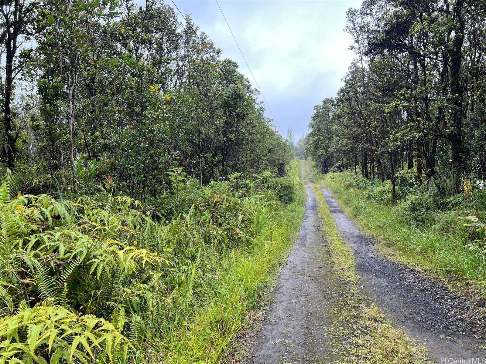 a view of a pathway both side of yard