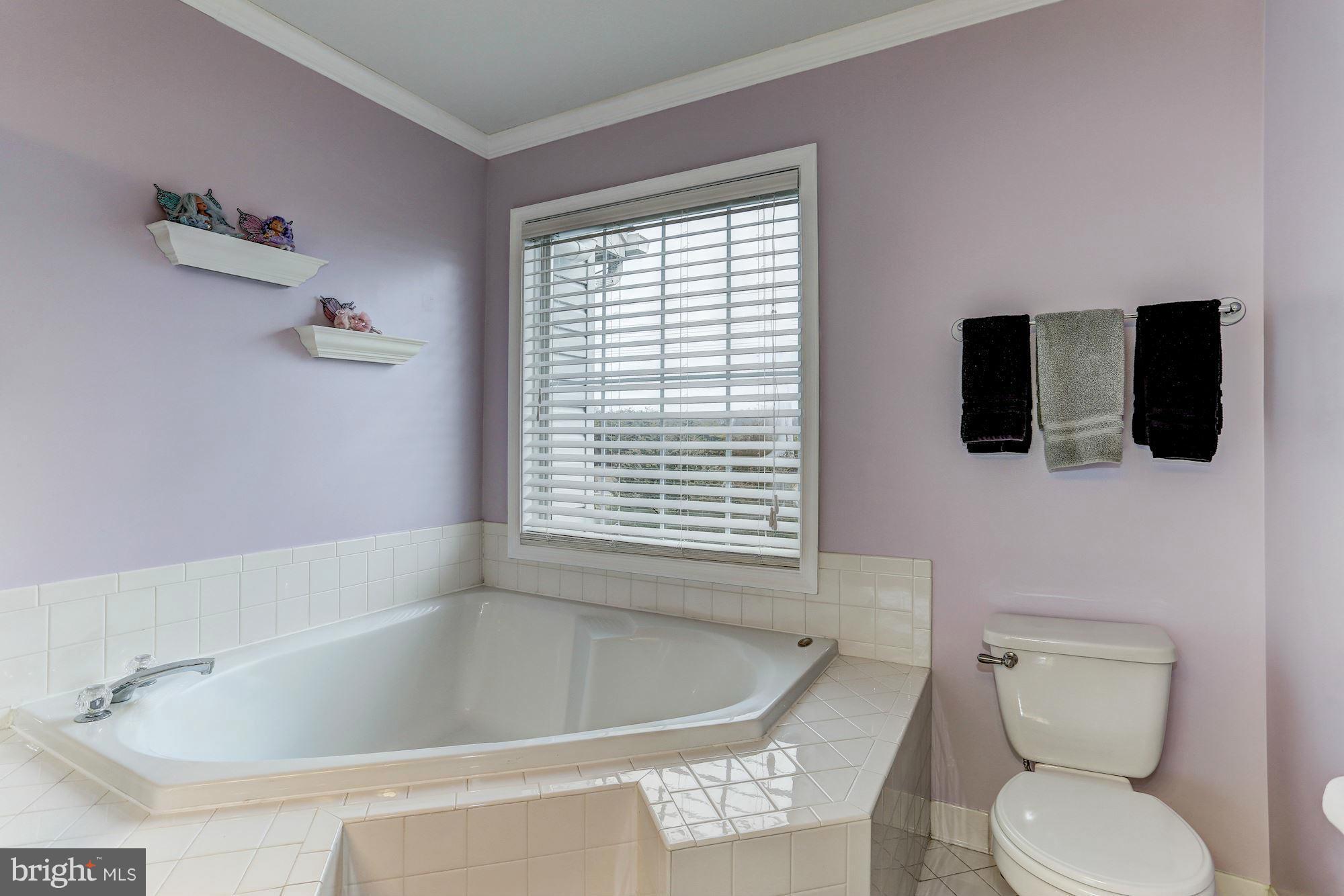 8400 Tackhouse Loop Gainesville, VA 20155 - Photo 13 of 27 Bath (Master)