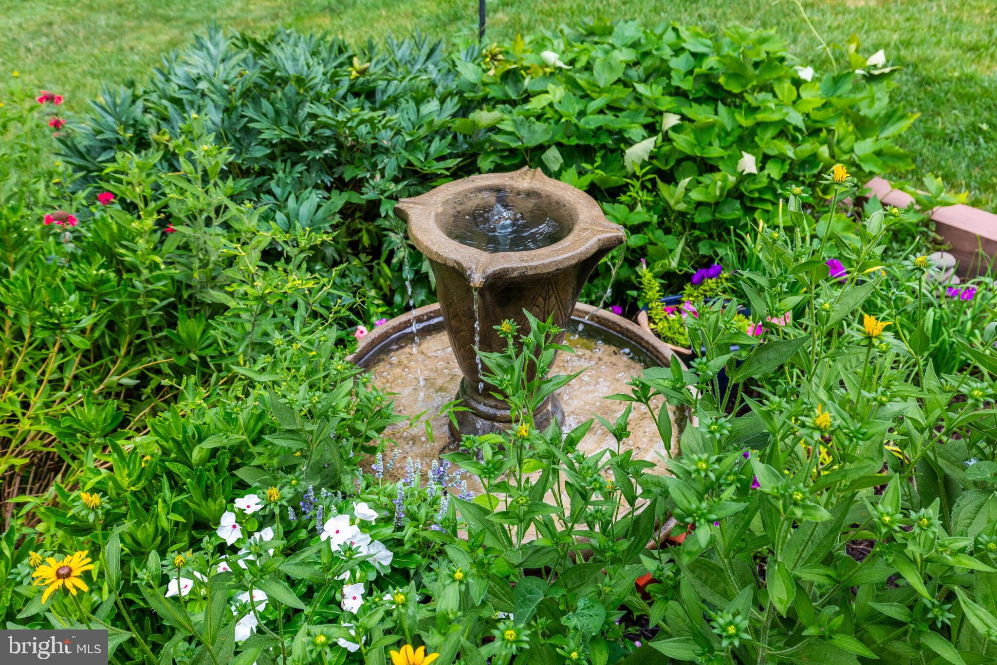 7504 Nancemond Street Springfield, VA 22150 - Photo 36 of 51 Garden with decorative birdbath