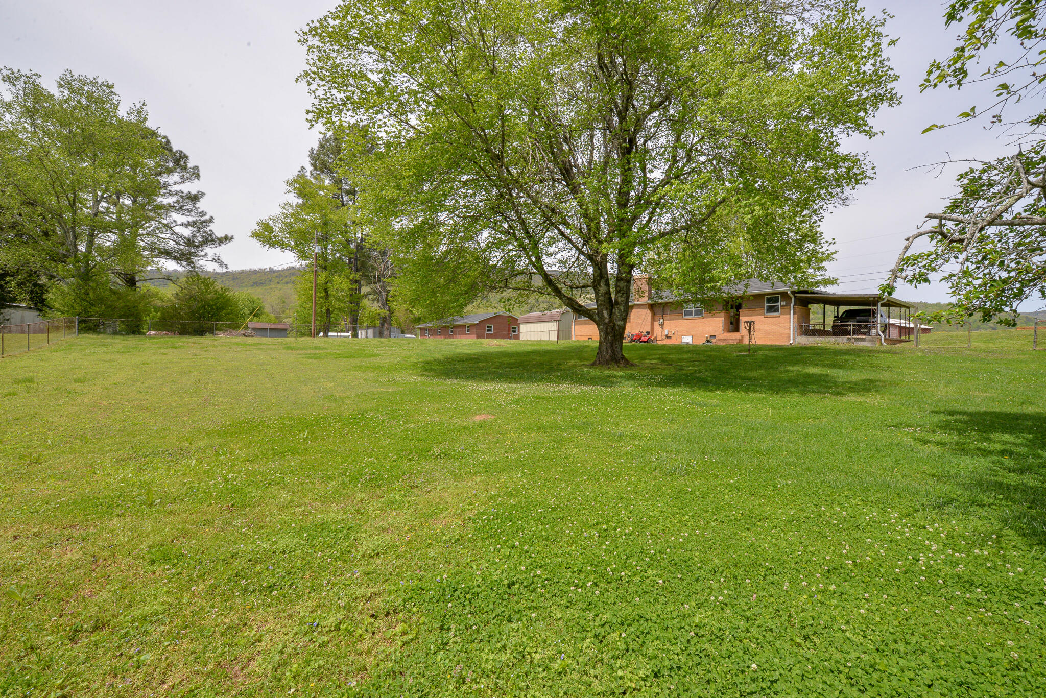 106 Browder Switch Road Jasper, TN 37347 - Photo 13 of 15 DSC_7844