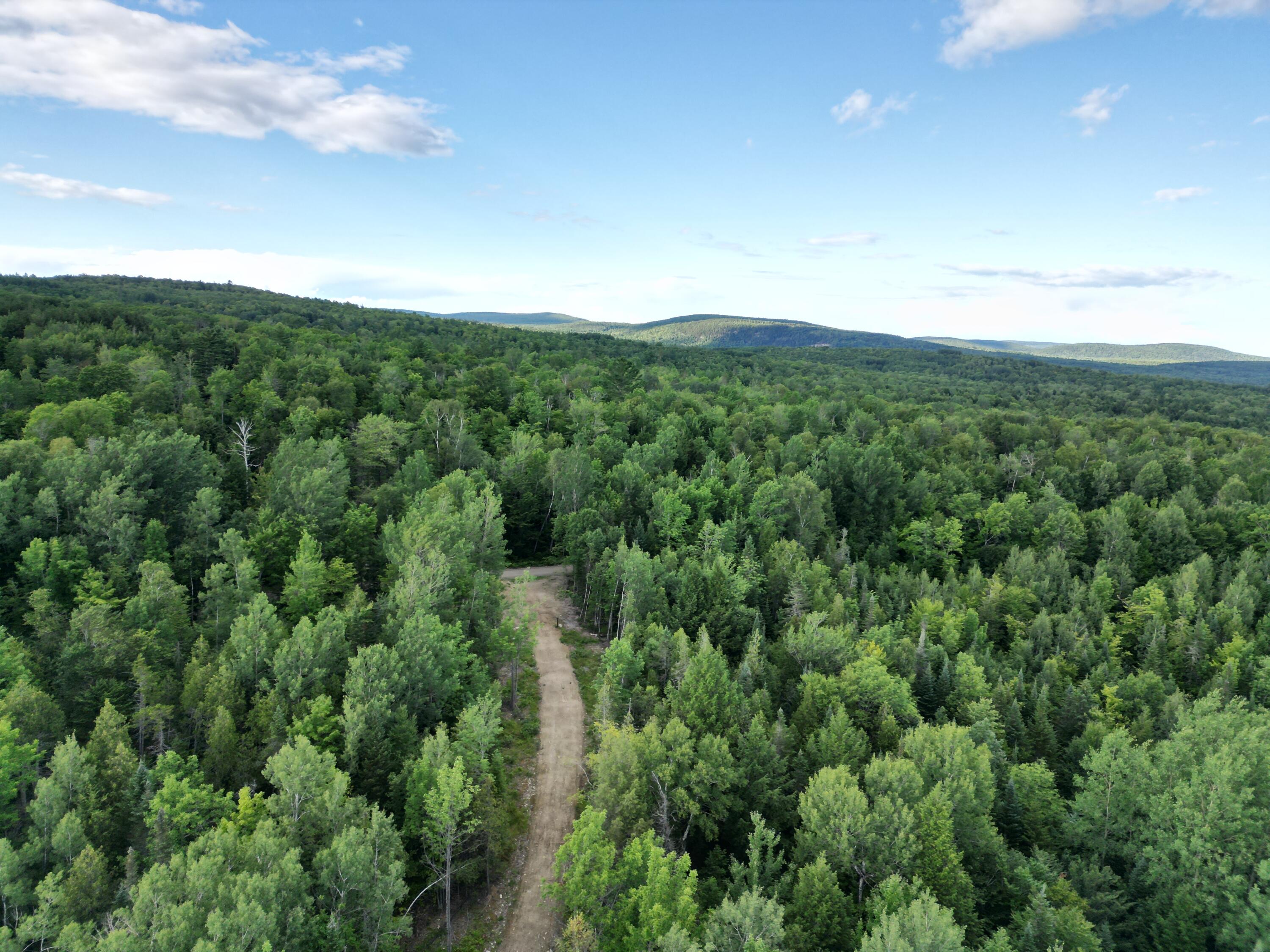 Lot 36-02 Dill Valley Road Lakeville, ME 04487 - Photo 12 of 17 DJI_0099