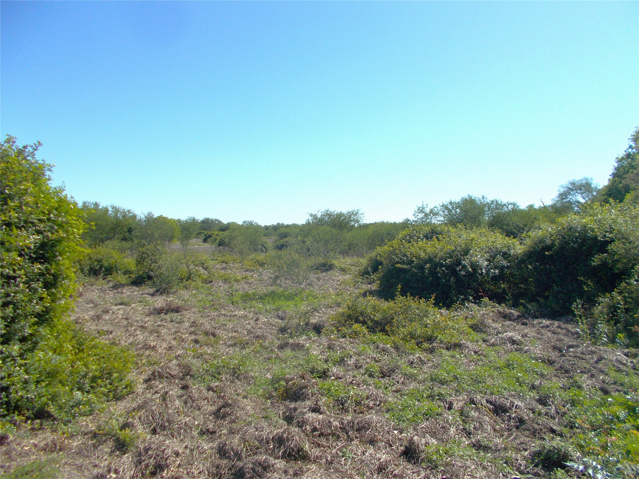 968 County Road 7 Damon, TX 77430 - Photo 3 of 5